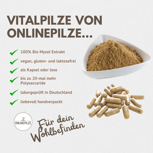 Vitalpilze und ihre Wirkung: Die faszinierende Welt der Vitalpilze - Natürliche Schätze für Körper und Geist - Onlinepilze