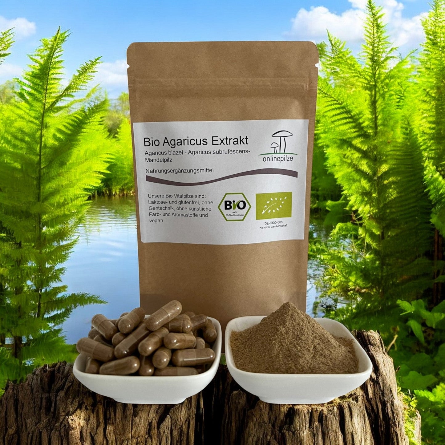 Agaricus Vitalpilz Extrakt Bio - Onlinepilze