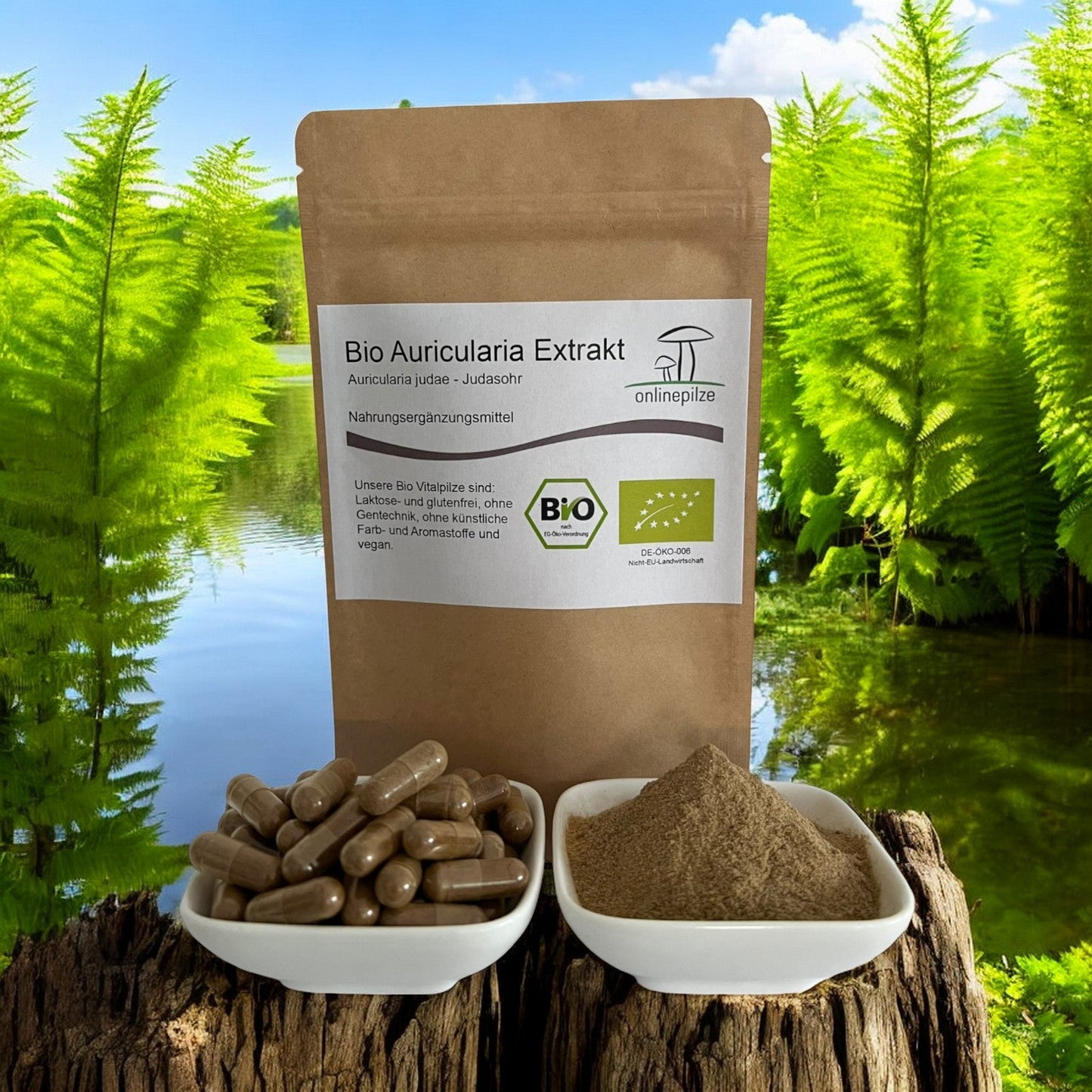 Auricularia Vitalpilz Extrakt BIO - Onlinepilze