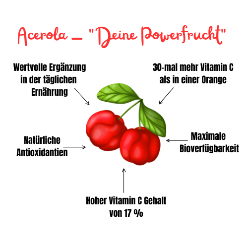 Bio Acerola Extrakt - NEU! - Onlinepilze