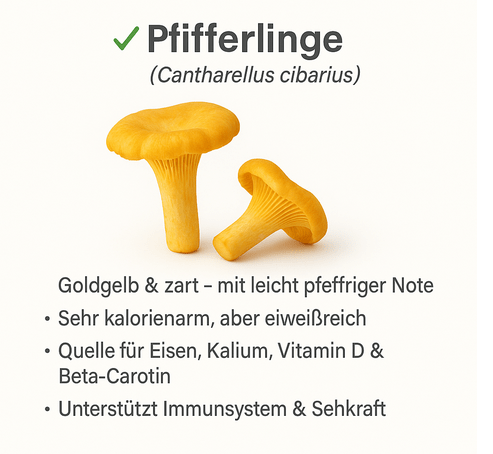 Bio - Speisepilze - NEU! - Onlinepilze