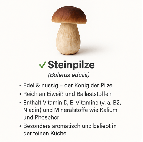 Bio - Speisepilze - NEU! - Onlinepilze