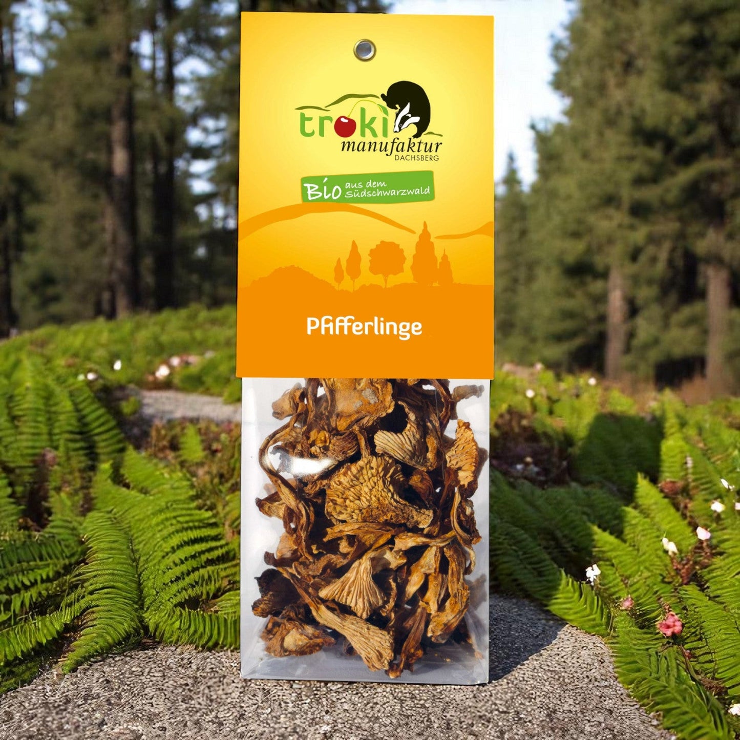 Bio - Speisepilze - NEU! - Onlinepilze