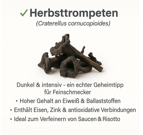 Bio - Speisepilze - NEU! - Onlinepilze