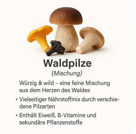 Bio - Speisepilze - NEU! - Onlinepilze