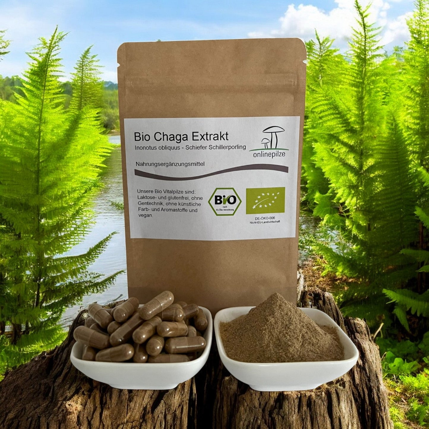 Chaga Vitalpilz Extrakt BIO - Onlinepilze