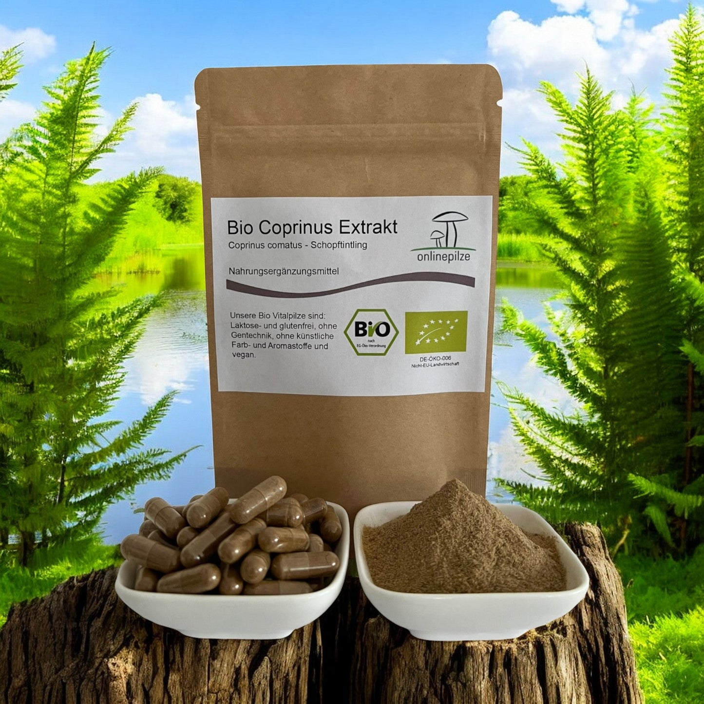 Coprinus Vitalpilz Extrakt BIO - Onlinepilze