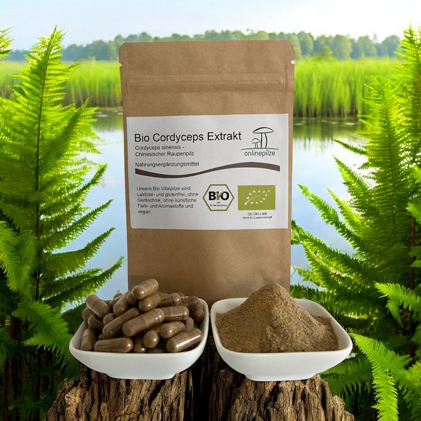 Cordyceps Vitalpilz Extrakt BIO - Onlinepilze