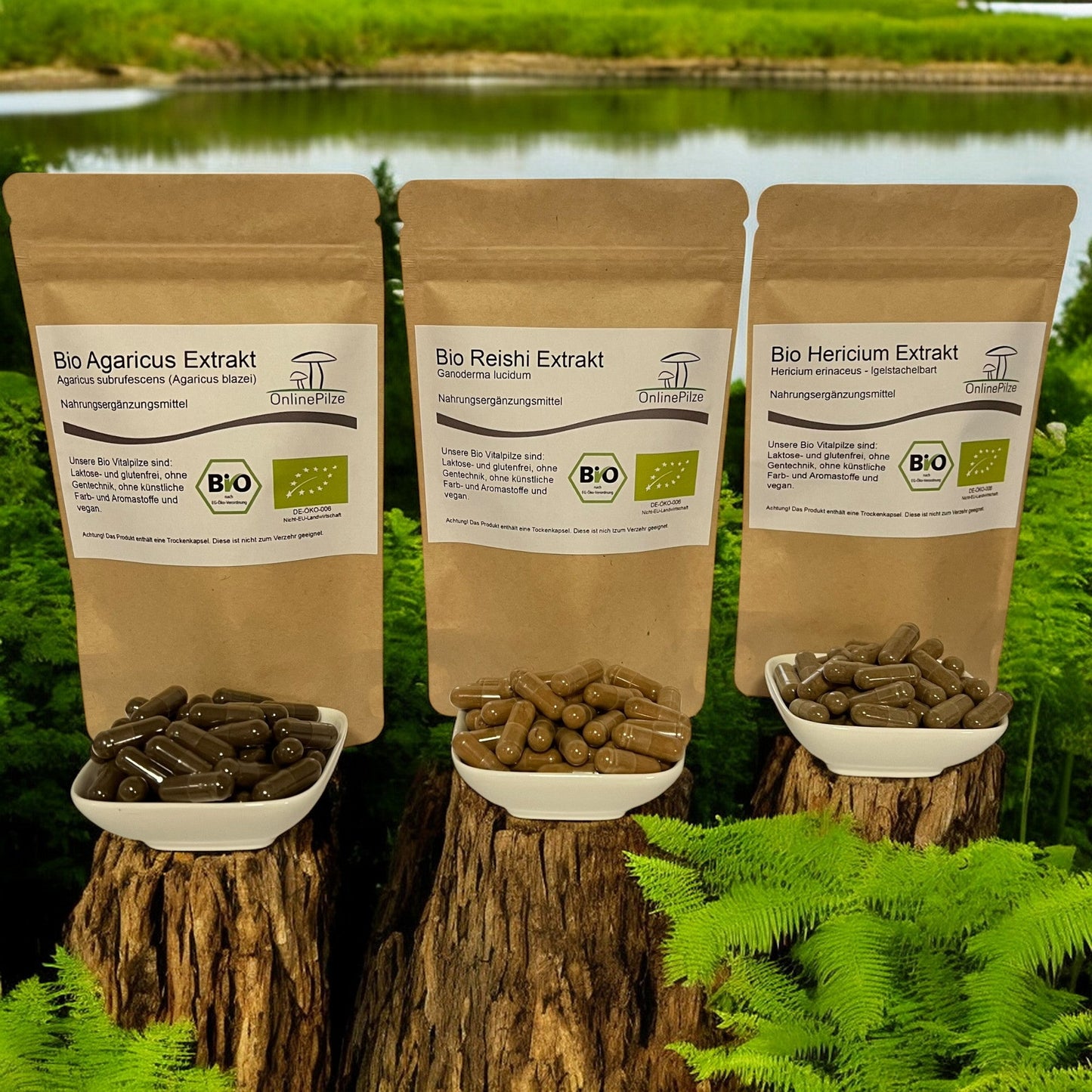 Kapsel - Bundle: Fit mit Allergie - Onlinepilze