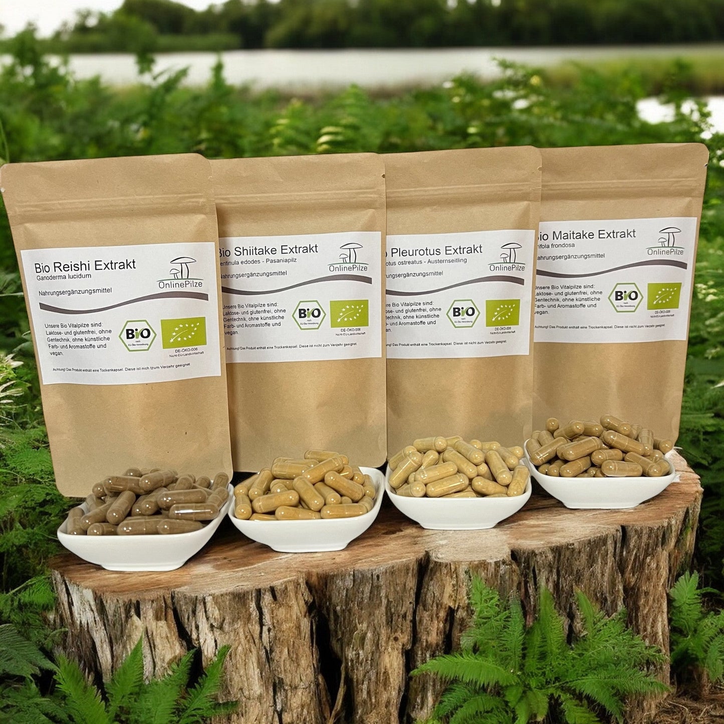 Kapsel - Bundle: Gelenk fit - Onlinepilze