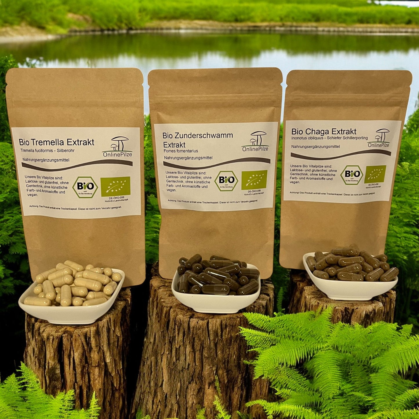 Kapsel - Bundle: Hautbalsam - Onlinepilze