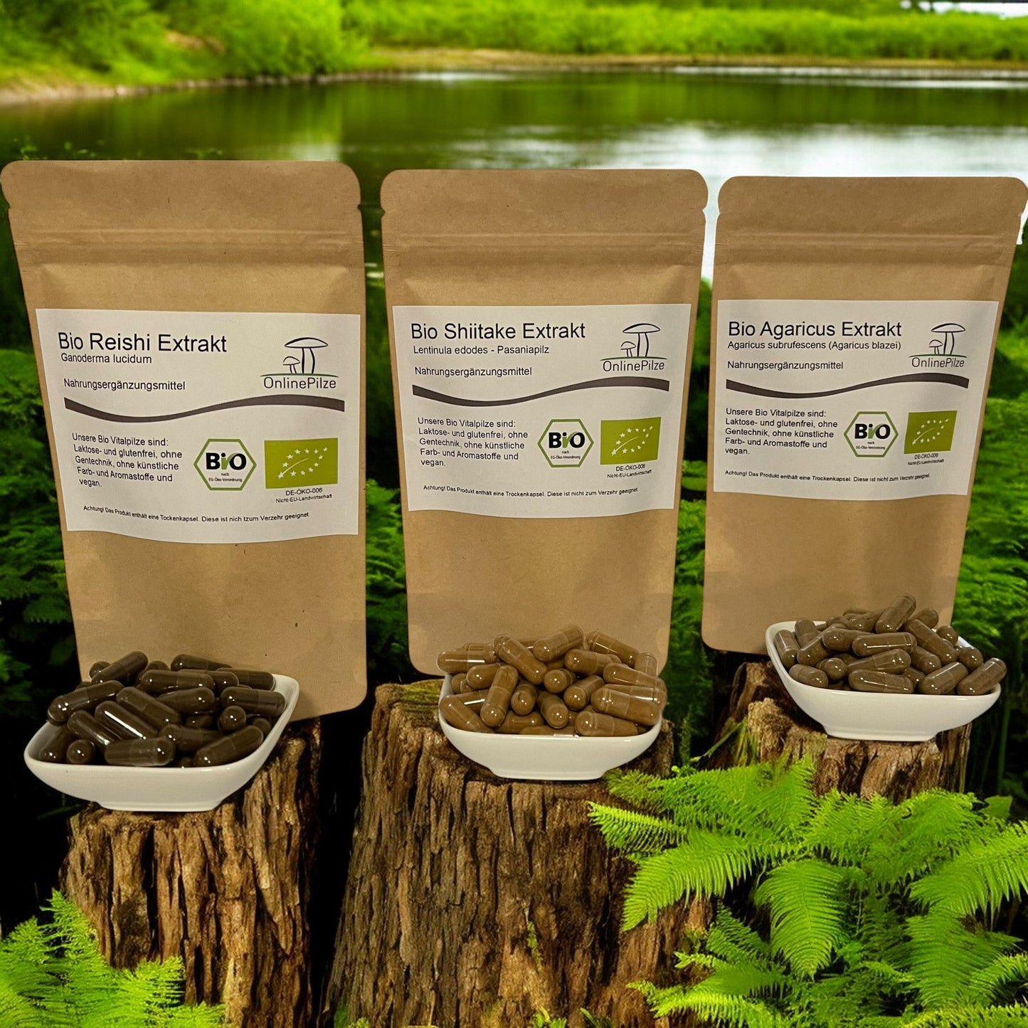 Vitalpil-Extrakte-Bundle: Immun Aktiv - Onlinepilze