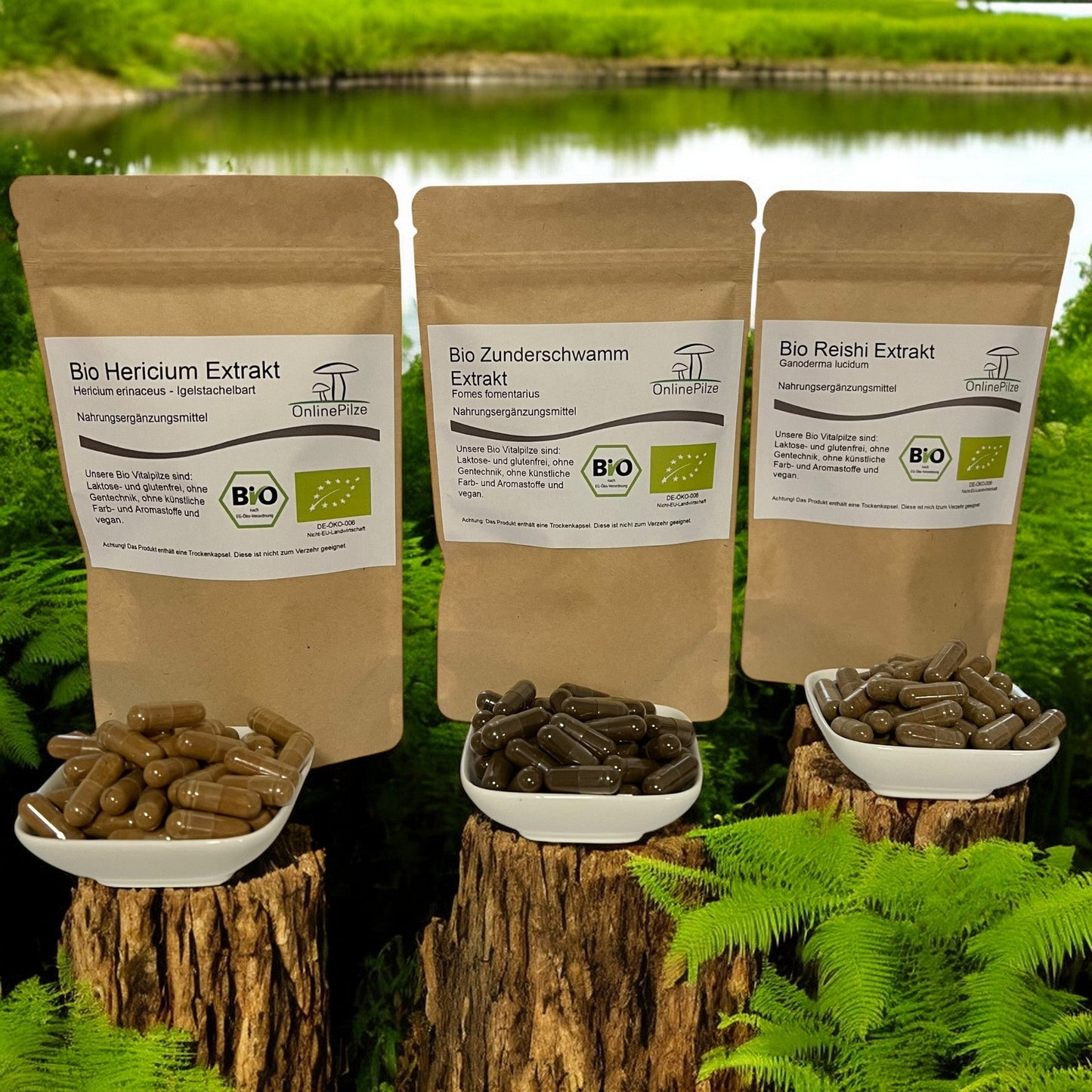 Kapsel - Bundle: Nachtruhe - Onlinepilze