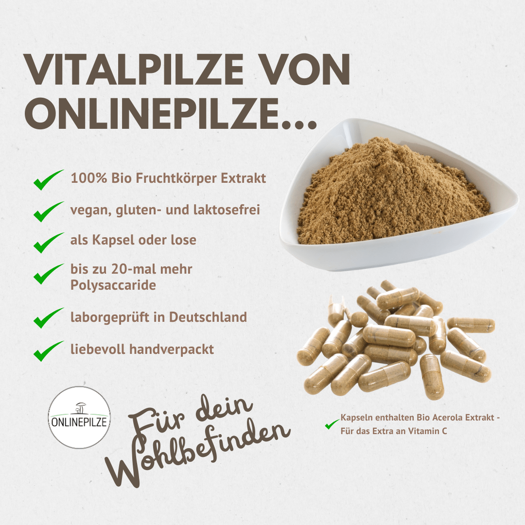 Kapsel - Bundle: Seelenstark - Onlinepilze
