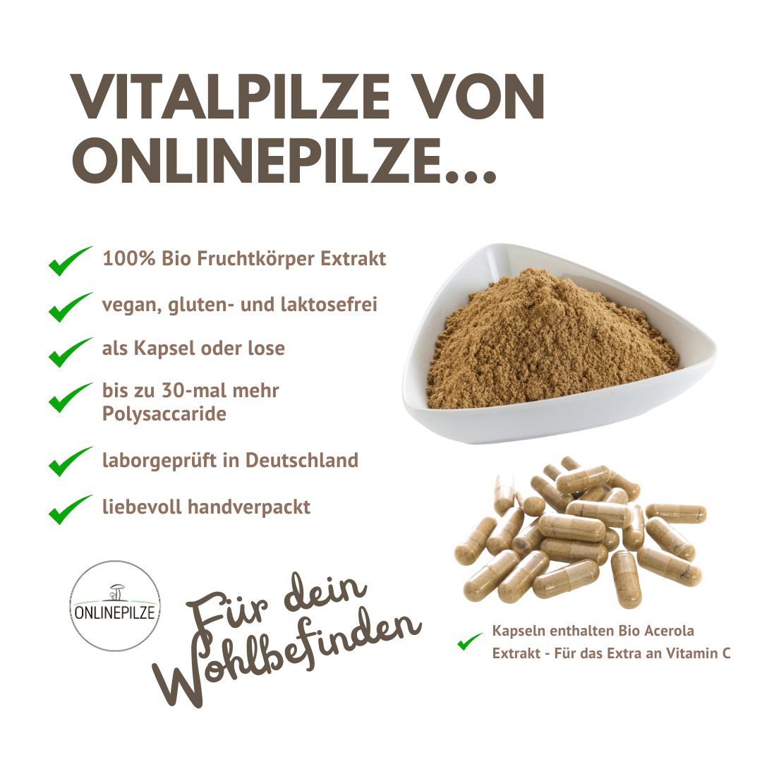 Kapsel - Bundle: Seelenstark - Onlinepilze
