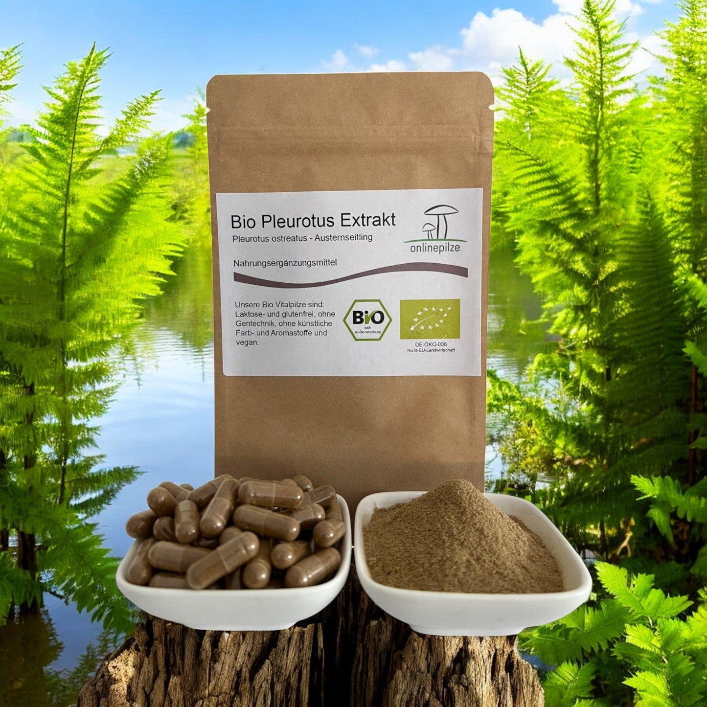 Pleurotus Vitalpilz Extrakt BIO - Onlinepilze