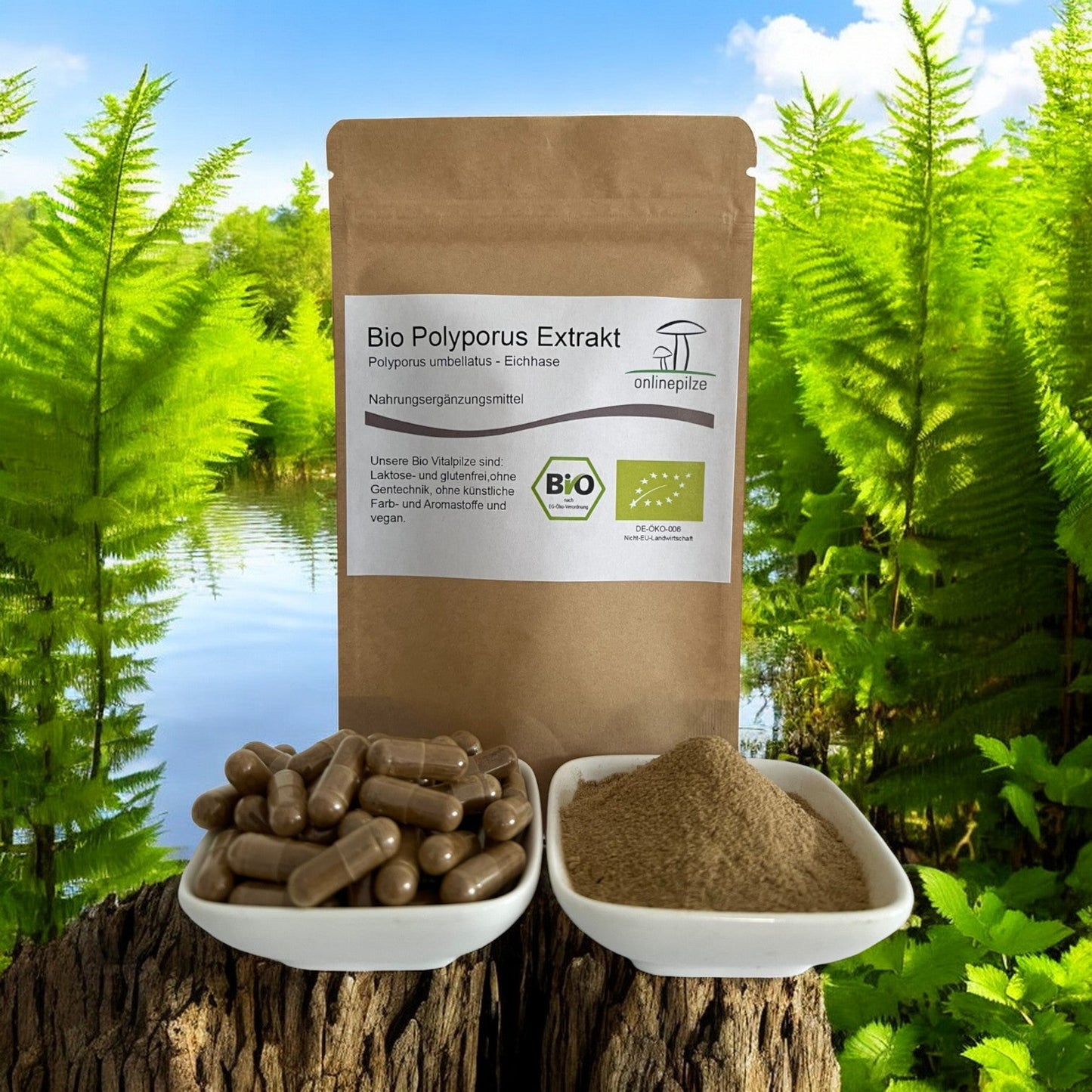 Polyporus Vitalpilz Extrakt BIO - Onlinepilze
