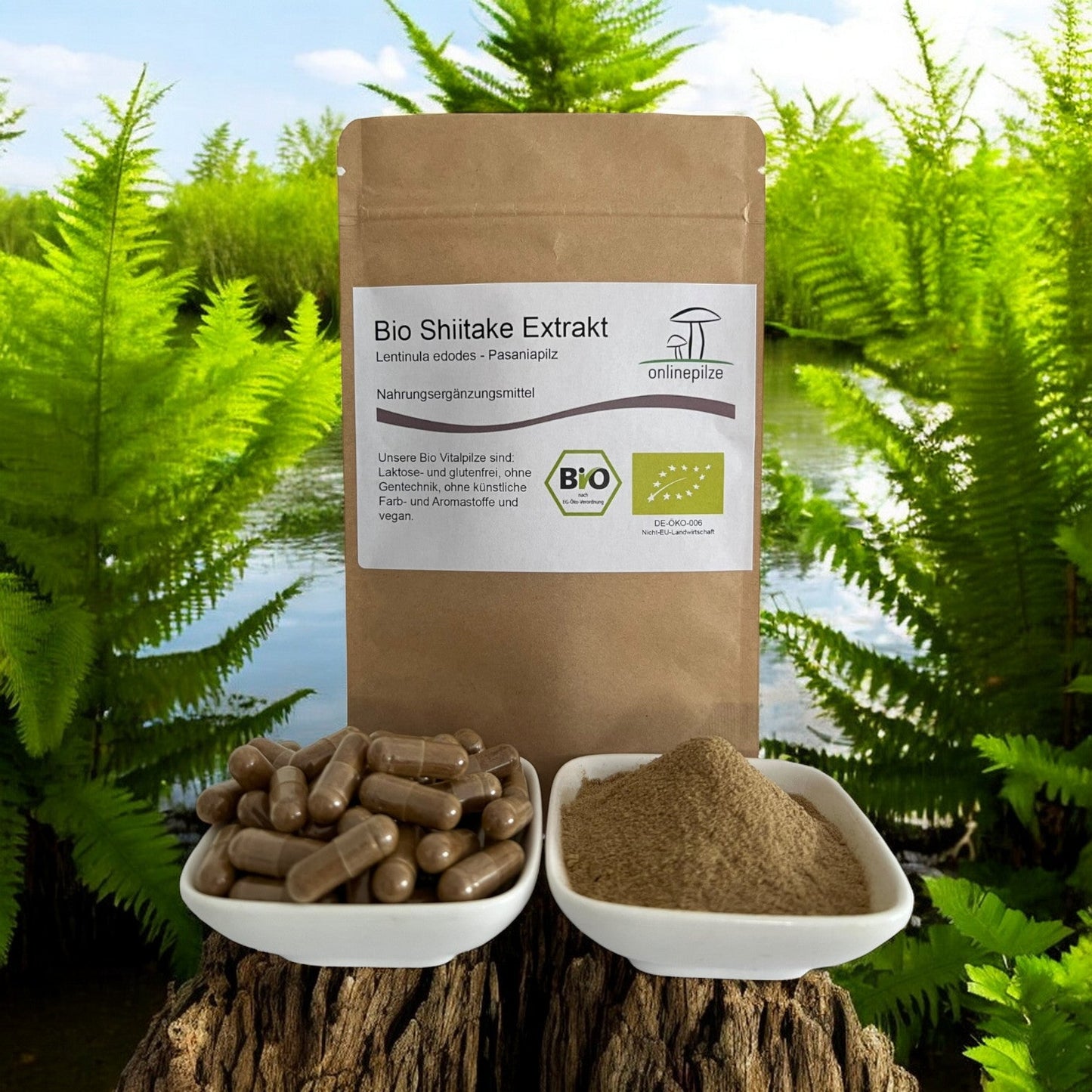 Shiitake Vitalpilz Extrakt BIO - Onlinepilze