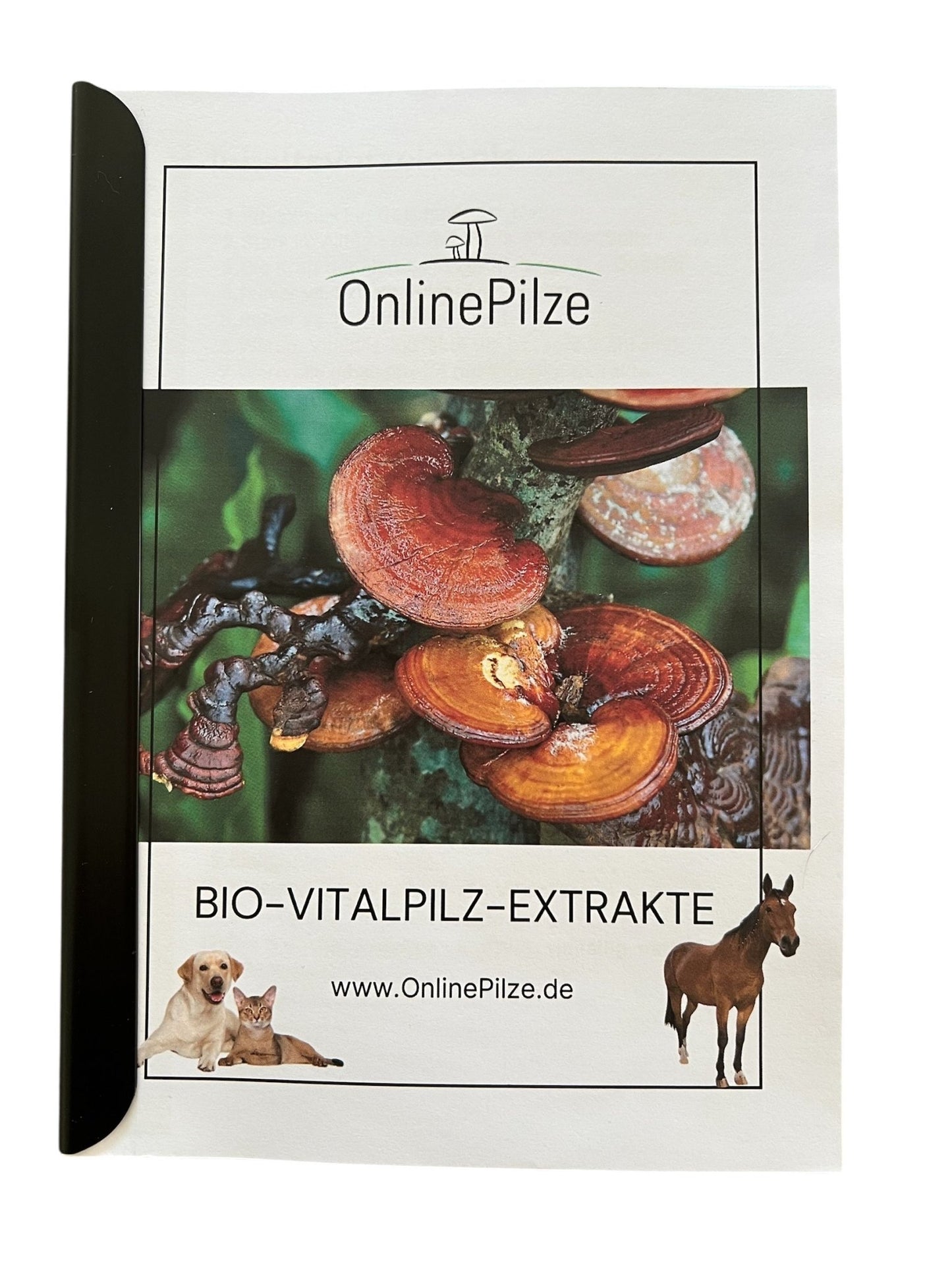 Vitalpilz - Booklet in A5 - Dein kleiner Ratgeber rund um Vitalpilze - Onlinepilze