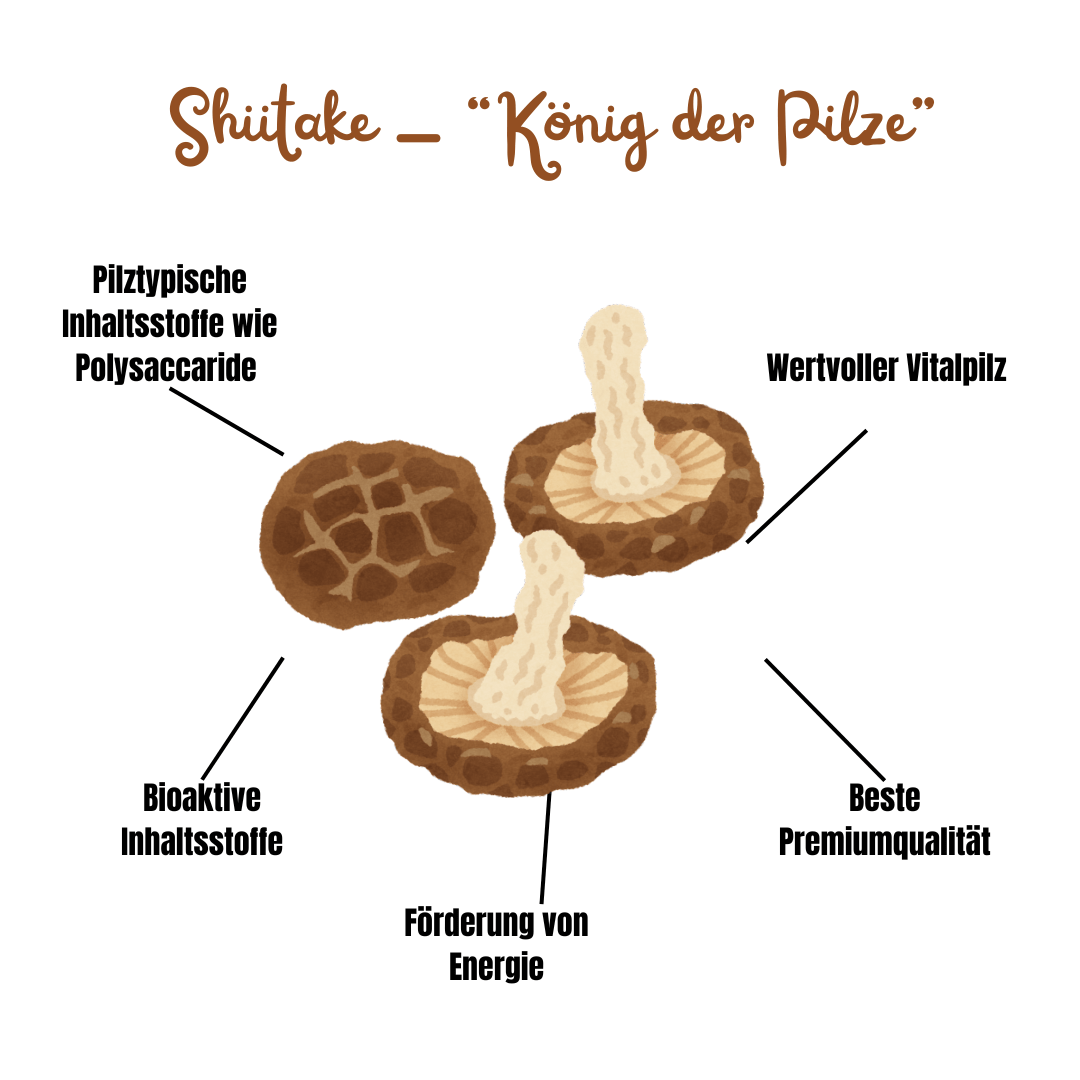 Vitalpilz Mischung "Bewegung Plus" - Onlinepilze