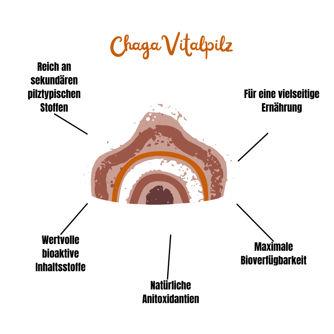 Vitalpilz Mischung "Haut Balance" - Onlinepilze