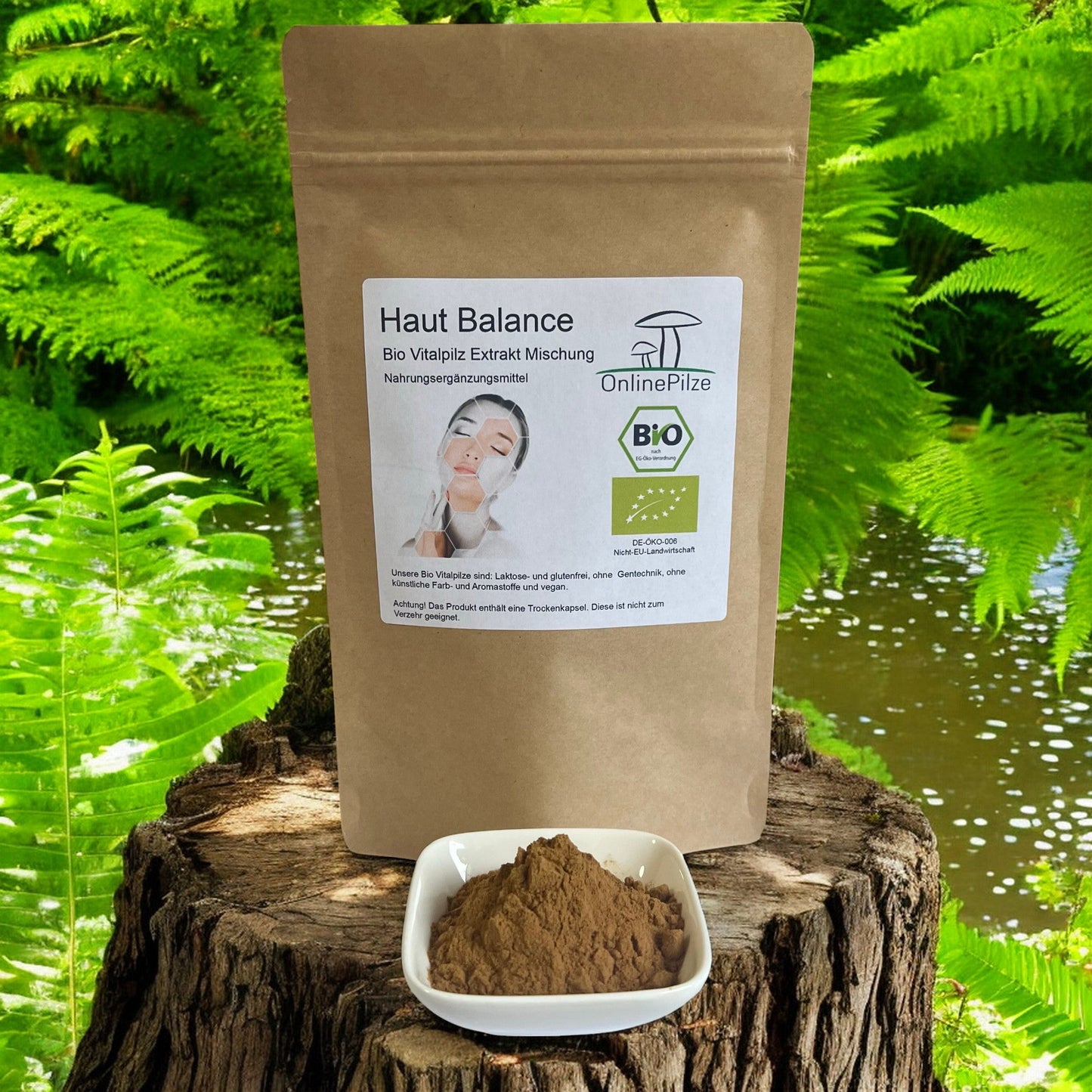 Vitalpilz Mischung "Haut Balance" - Onlinepilze