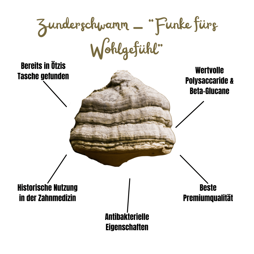 Vitalpilz Mischung "Haut Rein" - Onlinepilze