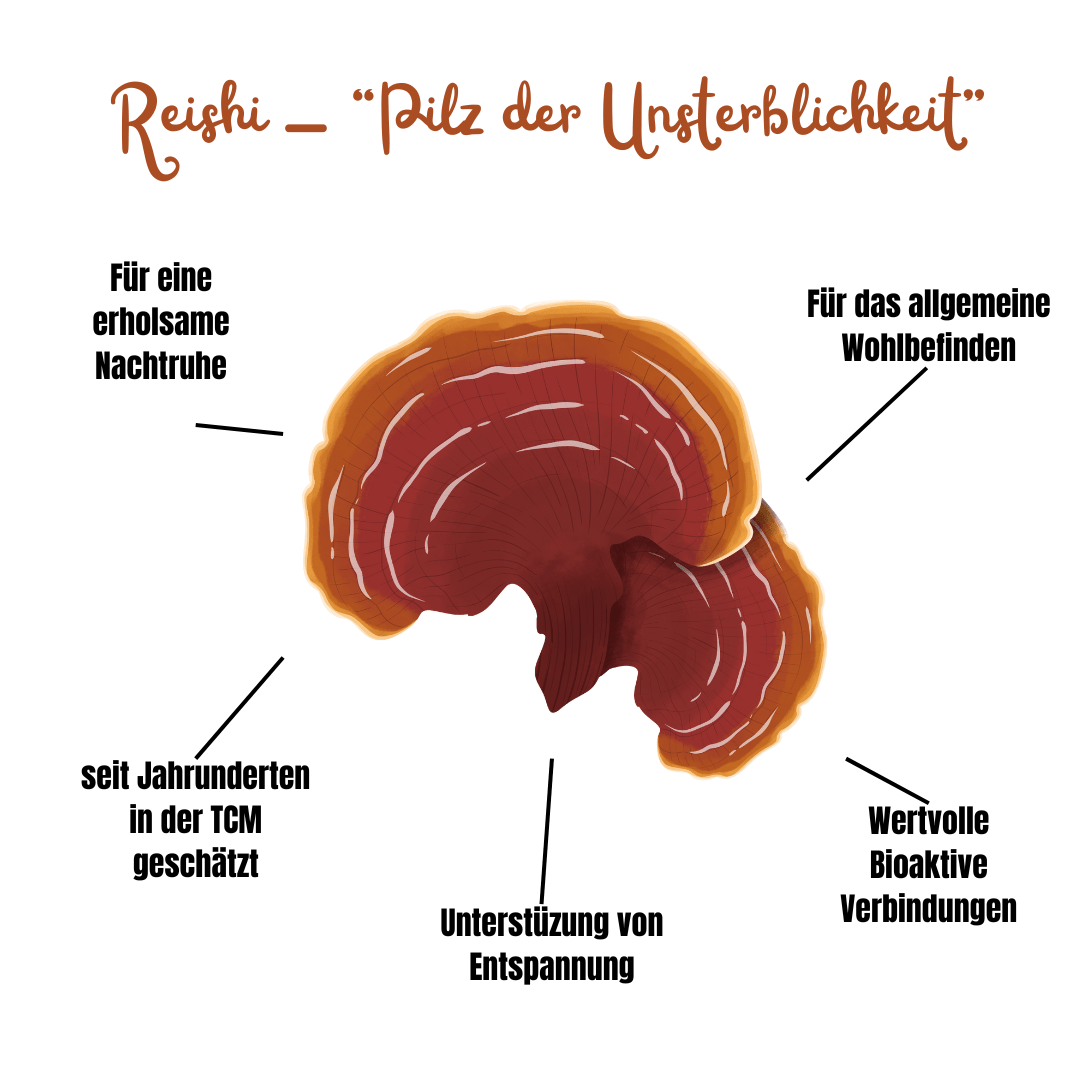 Vitalpilz Mischung "Seelenstark" - Onlinepilze