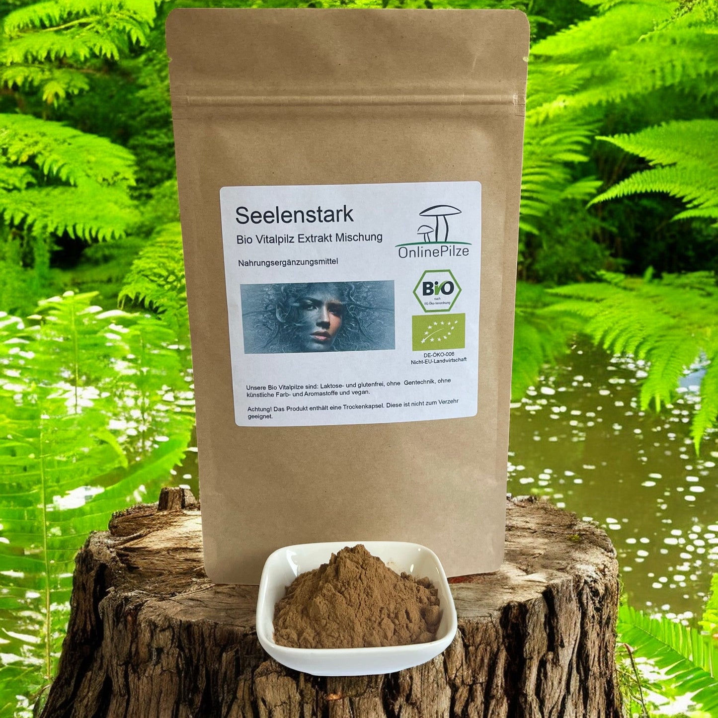 Vitalpilz Mischung "Seelenstark" - Onlinepilze
