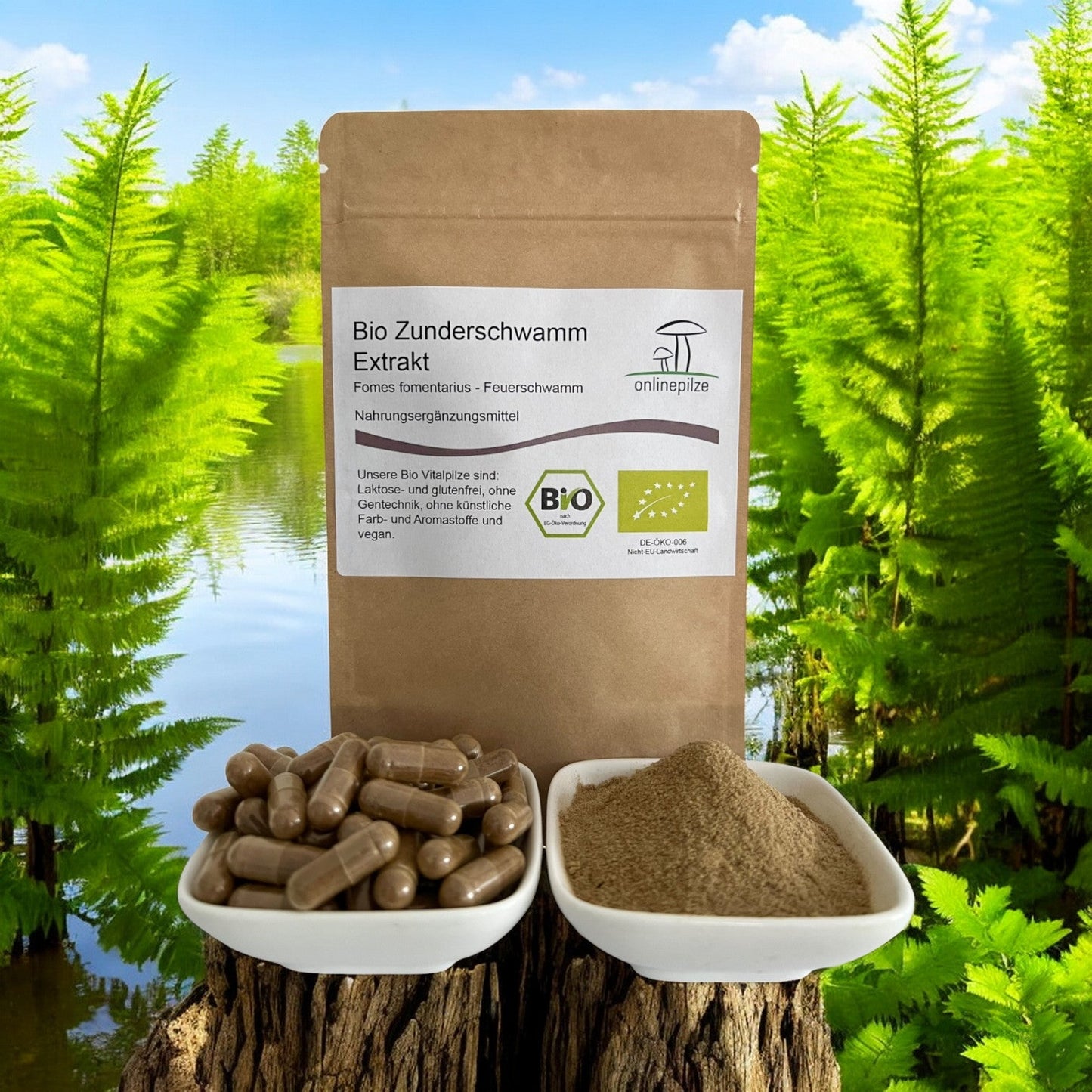 Zunderschwamm Vitalpilz Extrakt BIO - Onlinepilze