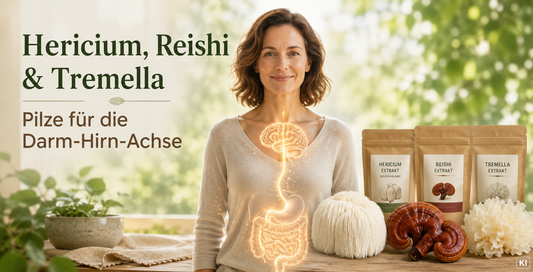 Hericium, Reishi und Tremella, Vitalpilze für die Darm-Hirn-Achse