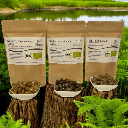 Wechseljahre: Unterstütze deinen Hormonhaushalt mit Vitalpilzen und fühl dich wieder jung. - Onlinepilze