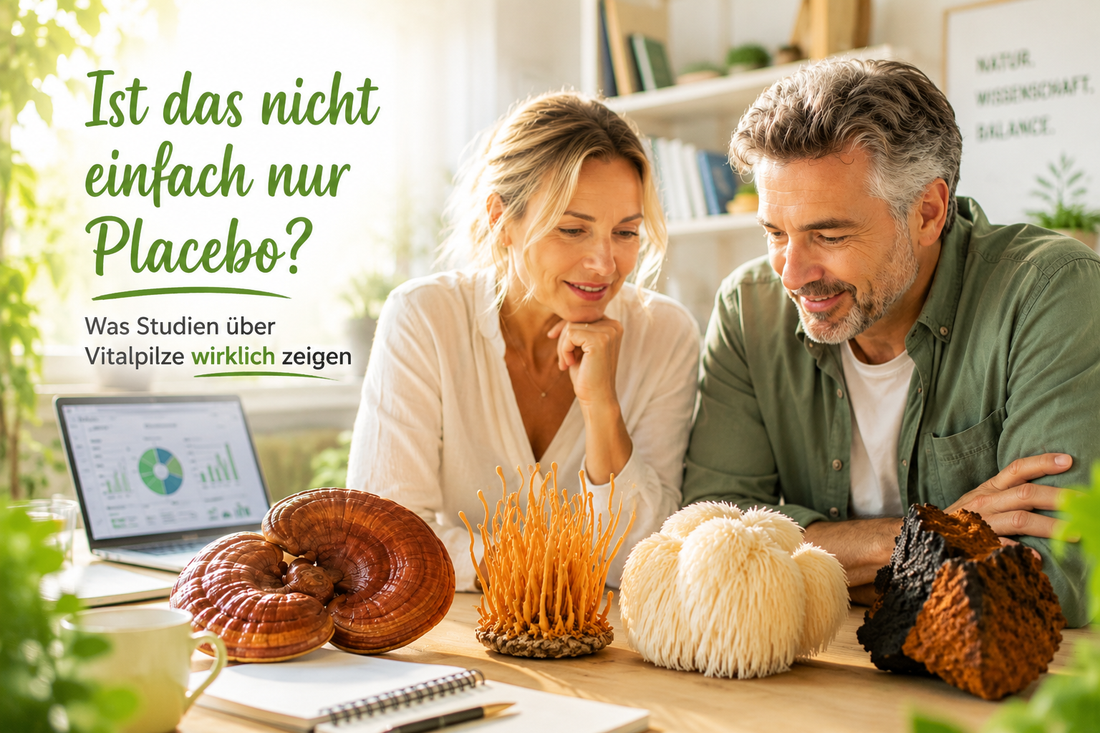 Wirken Vitalpilze wirklich? Was die Wissenschaft dazu sagt - Onlinepilze