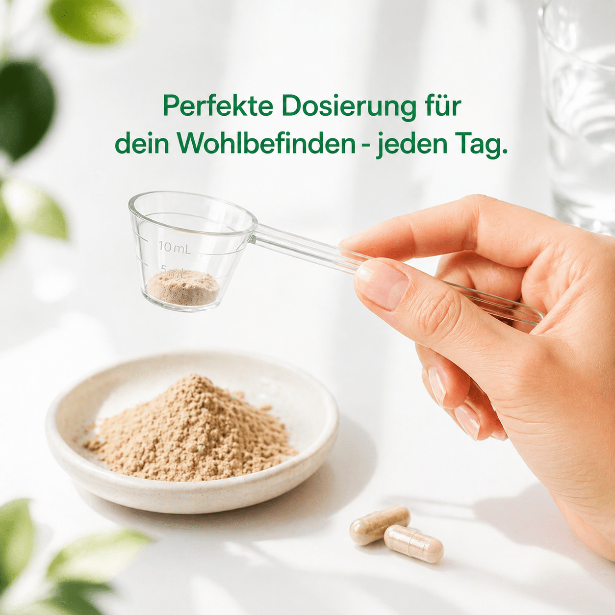 Zubehör - Onlinepilze