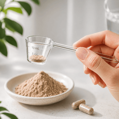 0,5 - 1,5 g Dosierlöffel Vitalpilz - Extrakte - Onlinepilze