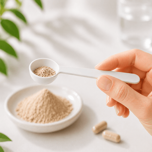 100 mg Dosierlöffel Vitalpilz - Extrakte - Onlinepilze