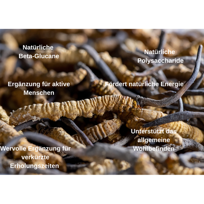 Cordyceps Vitalpilz BIO Extrakt: Dein natürlicher Begleiter für Energie & Ausdauer