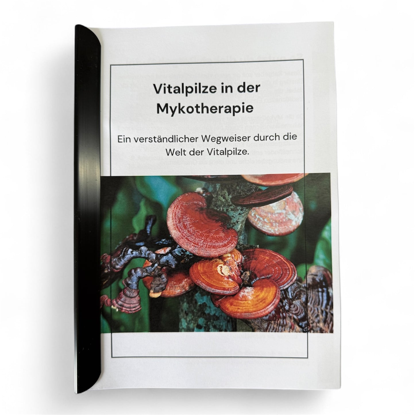 Mykotherapie – Wegweiser durch die Welt der Vitalpilze (Booklet)