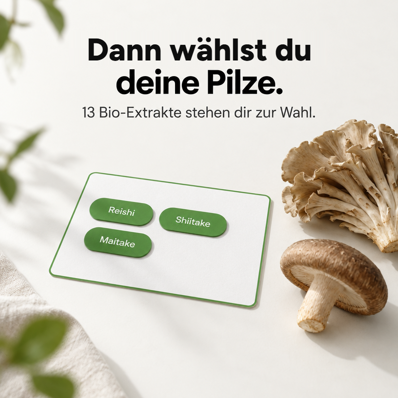 Individuelle Vitalpilz-Extrakt-Mischung – Bio Vitalpilze selbst kombinieren
