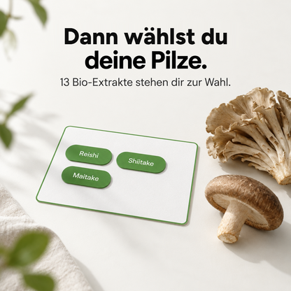 Individuelle Vitalpilz-Extrakt-Mischung – Bio Vitalpilze selbst kombinieren
