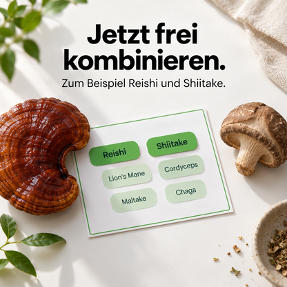 Individuelle Vitalpilz-Extrakt-Mischung – Bio Vitalpilze selbst kombinieren