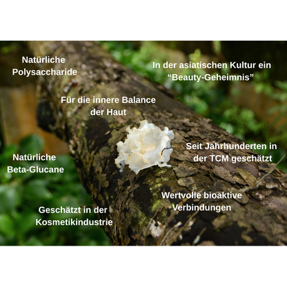 Bio Vitalpilz Mischung "Haut Balance"