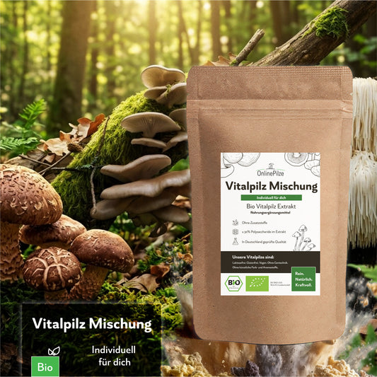 Individuelle Vitalpilz-Extrakt-Mischung – Bio Vitalpilze selbst kombinieren