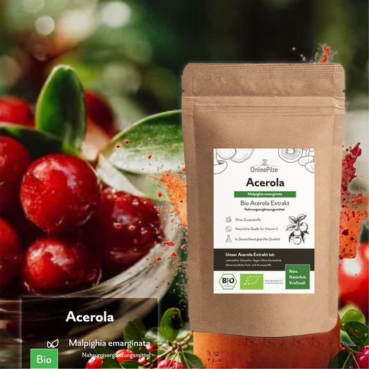 Acerola Bio Extrakt kaufen – Vitamin C für dein Wohlbefinden - Onlinepilze