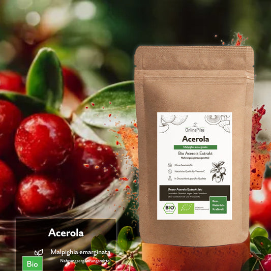 Acerola Bio Extrakt kaufen – Vitamin C für dein Wohlbefinden - Onlinepilze