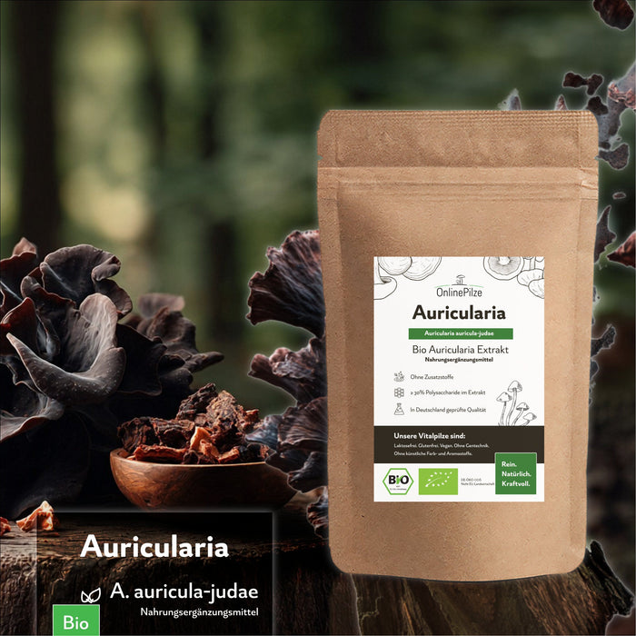 "Auricularia" Bio Vitalpilz Extrakt – Balance & Leichtigkeit - OnlinePilze