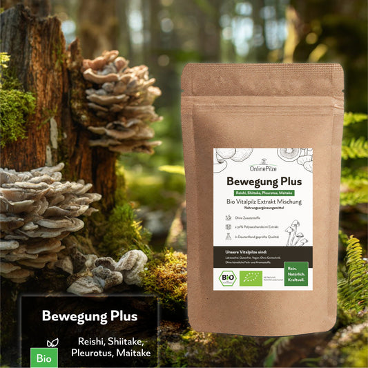 "Bewegung Plus" Bio Vitalpilz - Extrakt | Aktiver Alltag - Onlinepilze