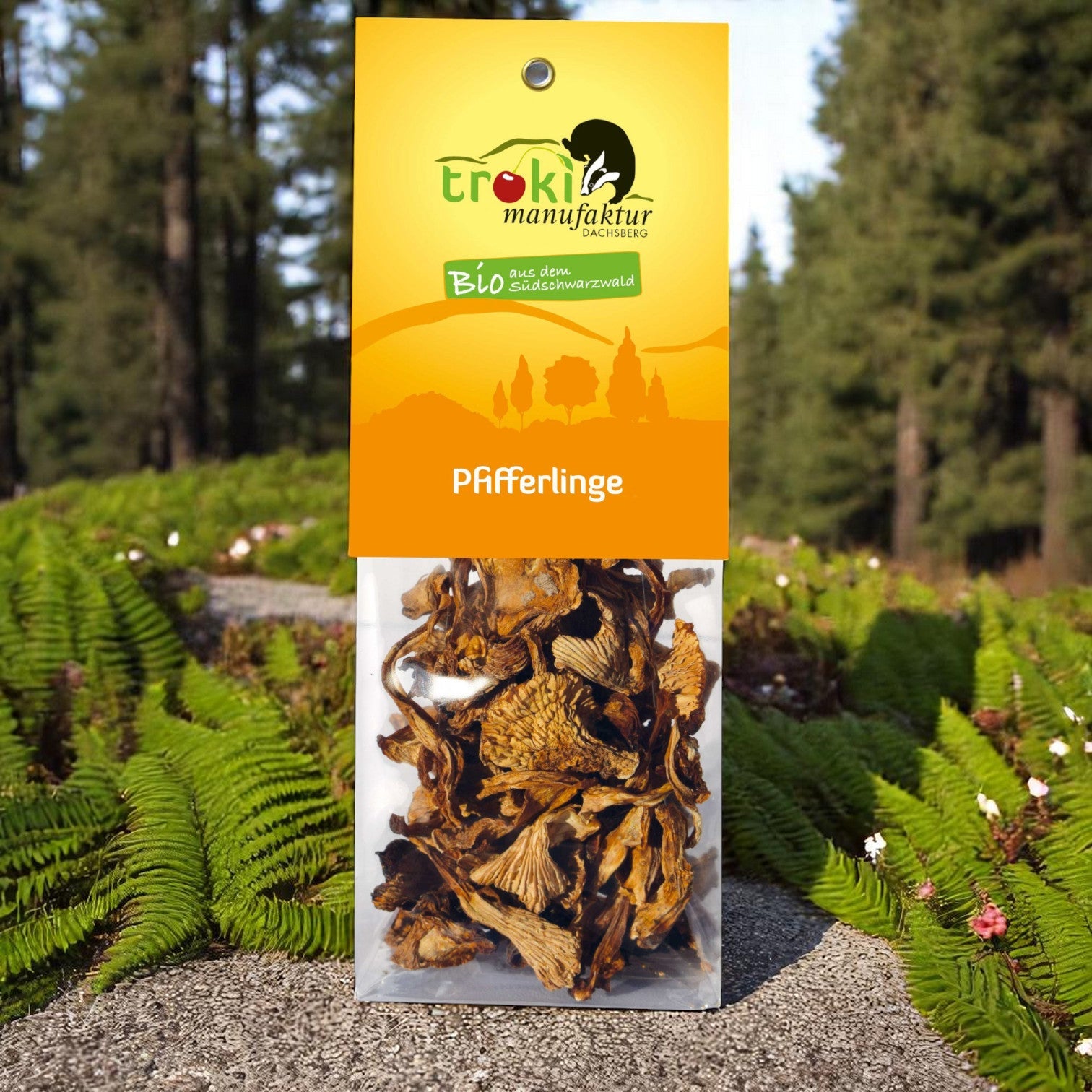 Bio - Speisepilze - NEU! - Onlinepilze