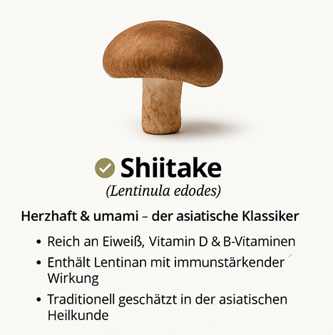 Bio - Speisepilze - NEU! - Onlinepilze