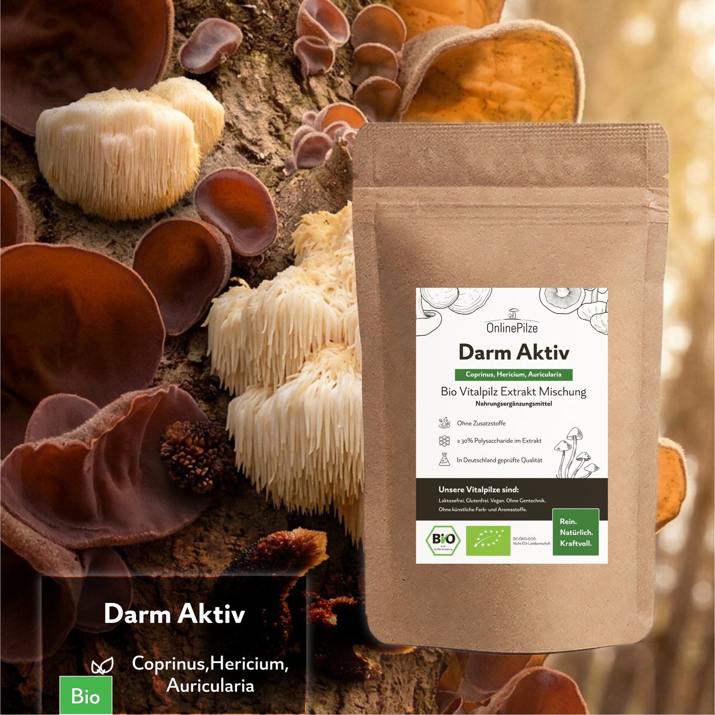 Bio Vitalpilz Mischung "Darm Aktiv" - Onlinepilze